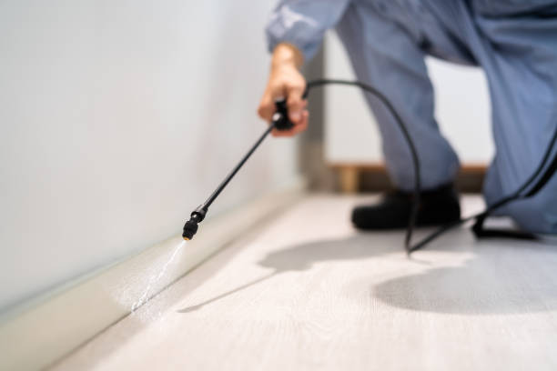 Professional exterminator conducting IPM assessment in Cherry Grove