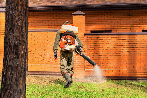 Bed Bug Clearance Verification and Documentation in Cherry Grove